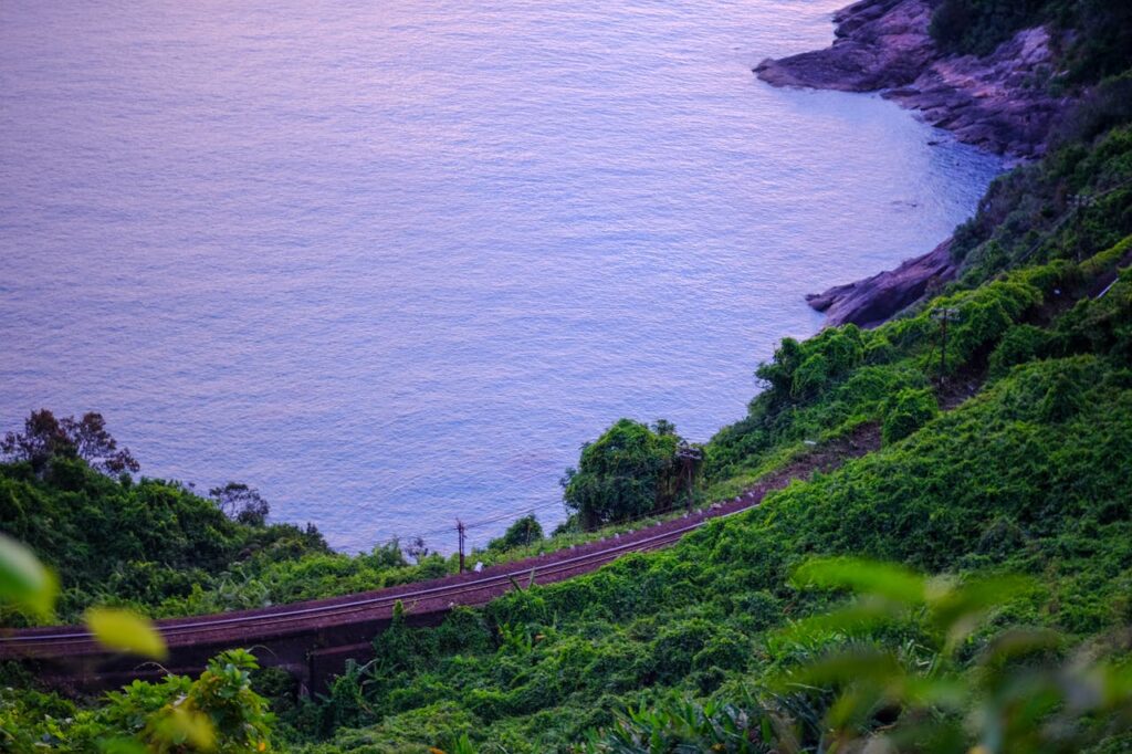 Free stock photo of goldenlight, goldenmoments, huecharm